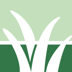 Strive Commercial Mowing