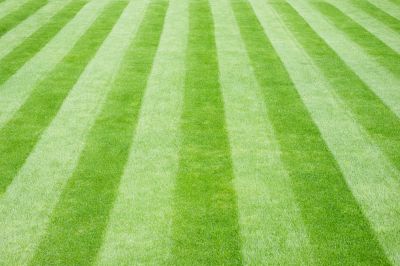 Maintain Uniformity Across the Commercial Area!