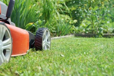 Professional Commercial Lawn Mowing Services!
